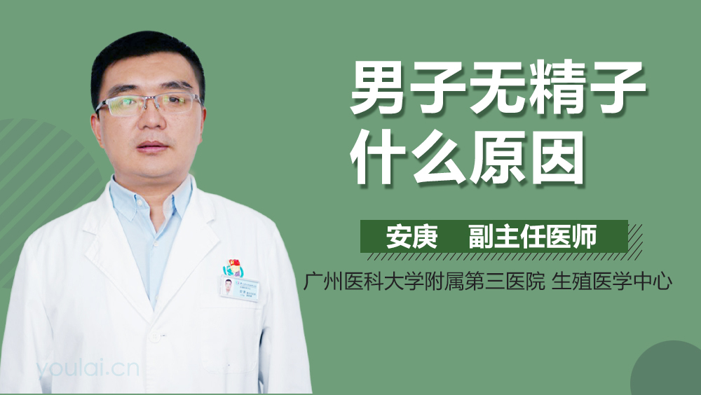 男子无精子什么原因