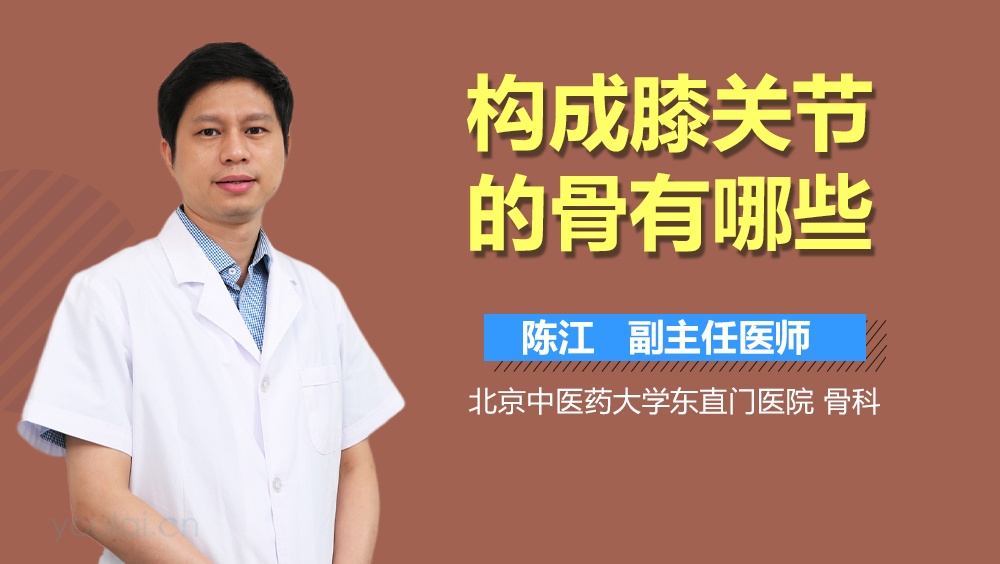 构成膝关节的骨有哪些