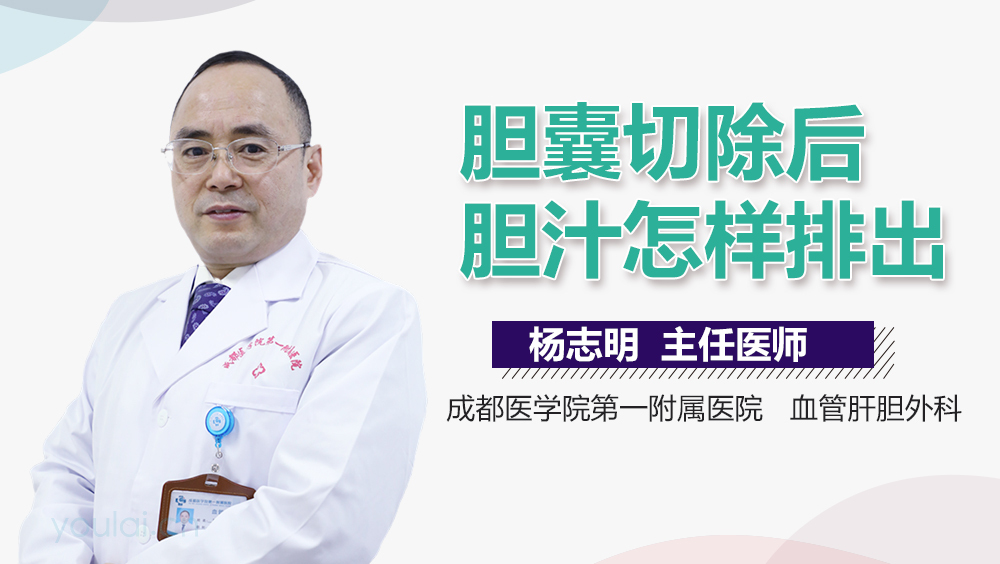 胆囊切除后胆汁怎样排出