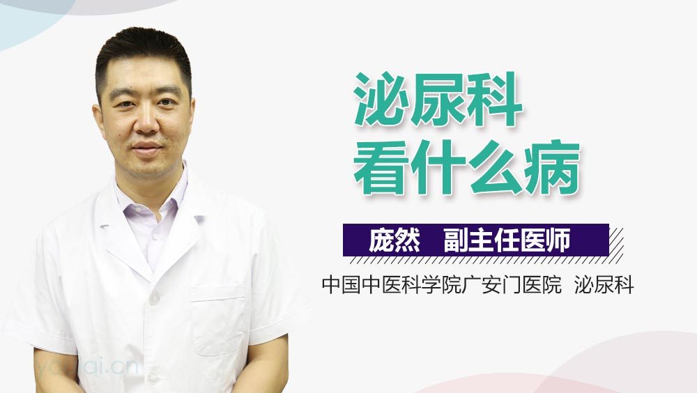 泌尿科看什么病