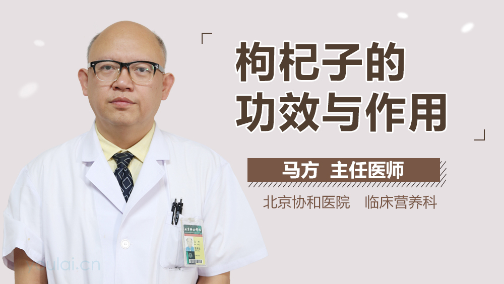 枸杞子的功效与作用