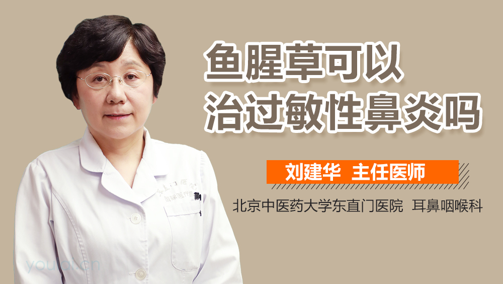 鱼腥草可以治过敏性鼻炎吗