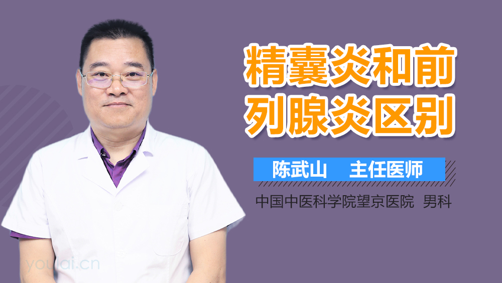精囊炎和前列腺炎区别
