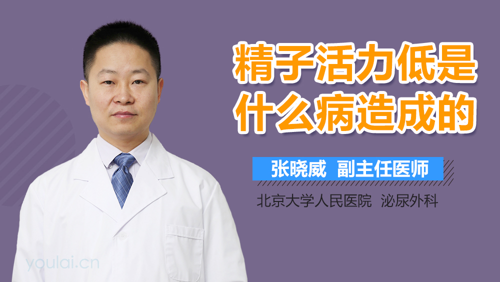 精子活力低是什么病造成的