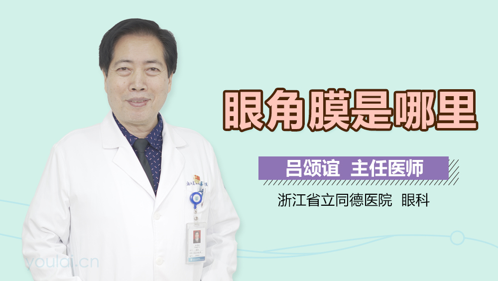 眼角膜是哪里