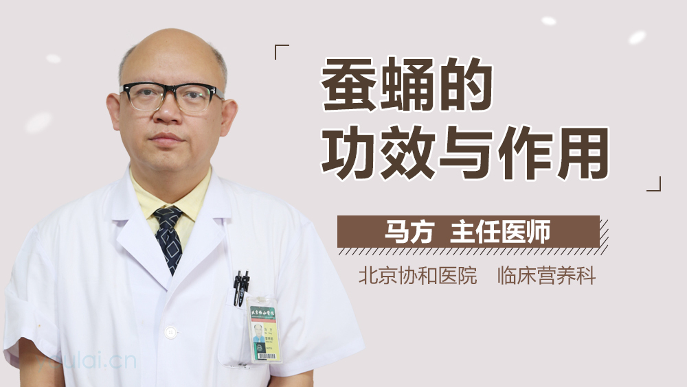 蚕蛹的功效与作用