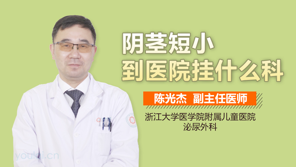 阴茎短小到医院挂什么科