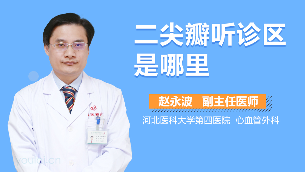 二尖瓣听诊区是哪里