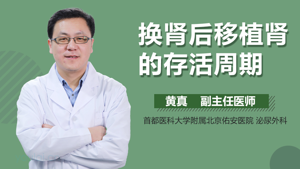 换肾后移植肾的存活周期