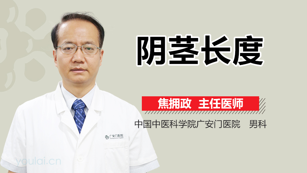 阴茎长度
