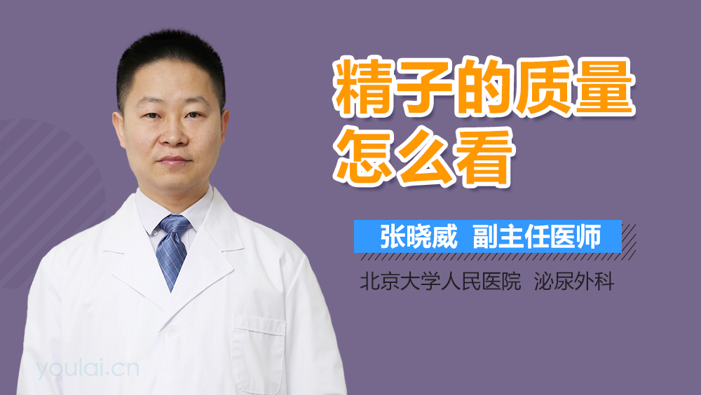 精子的质量怎么看