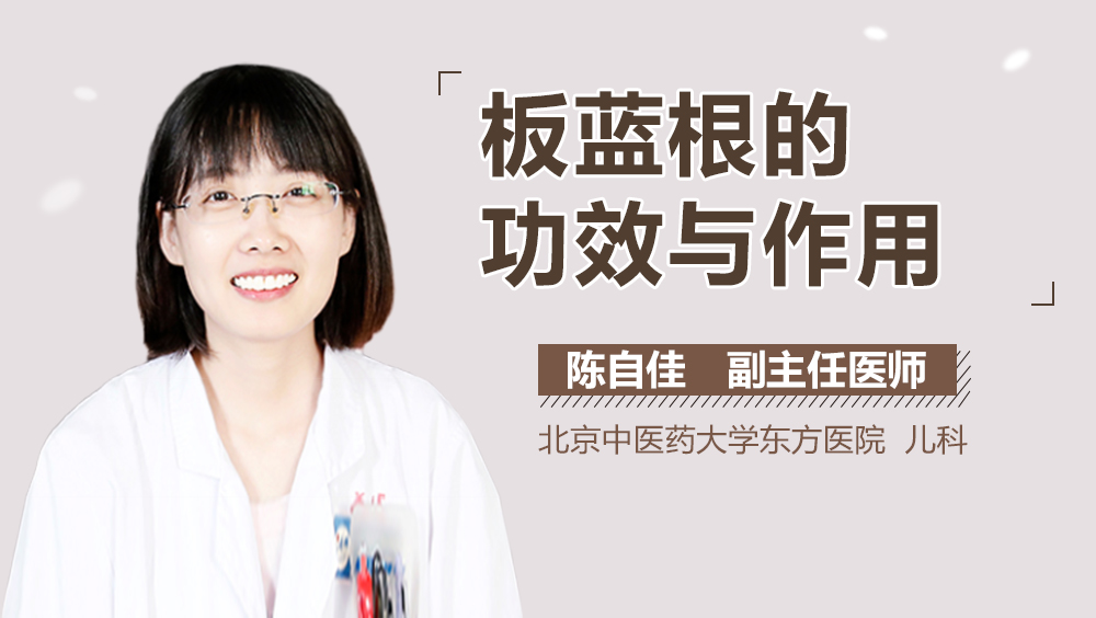 板蓝根的功效与作用
