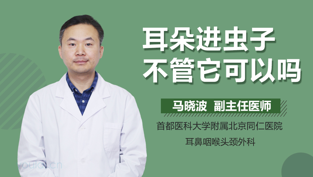 耳朵进虫子不管它可以吗