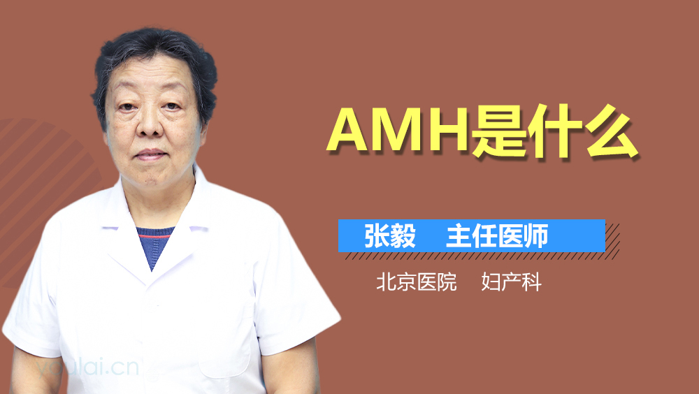 AMH是什么