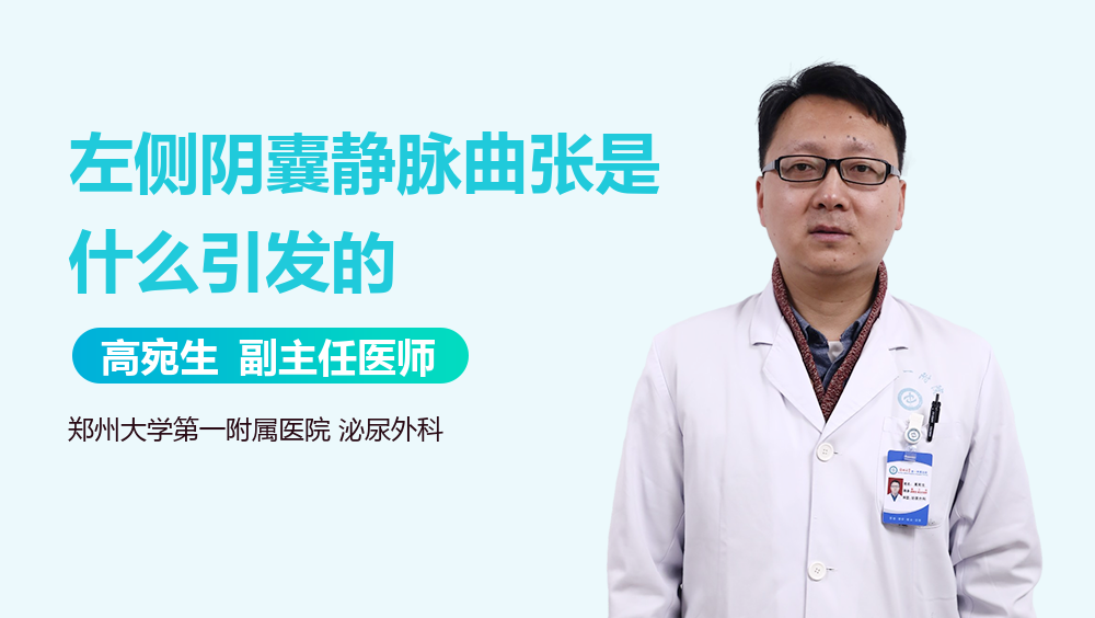 左侧阴囊静脉曲张是什么引发的