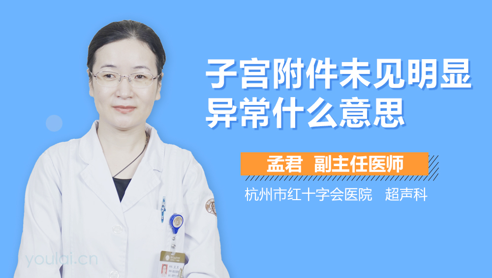 子宫附件未见明显异常什么意思