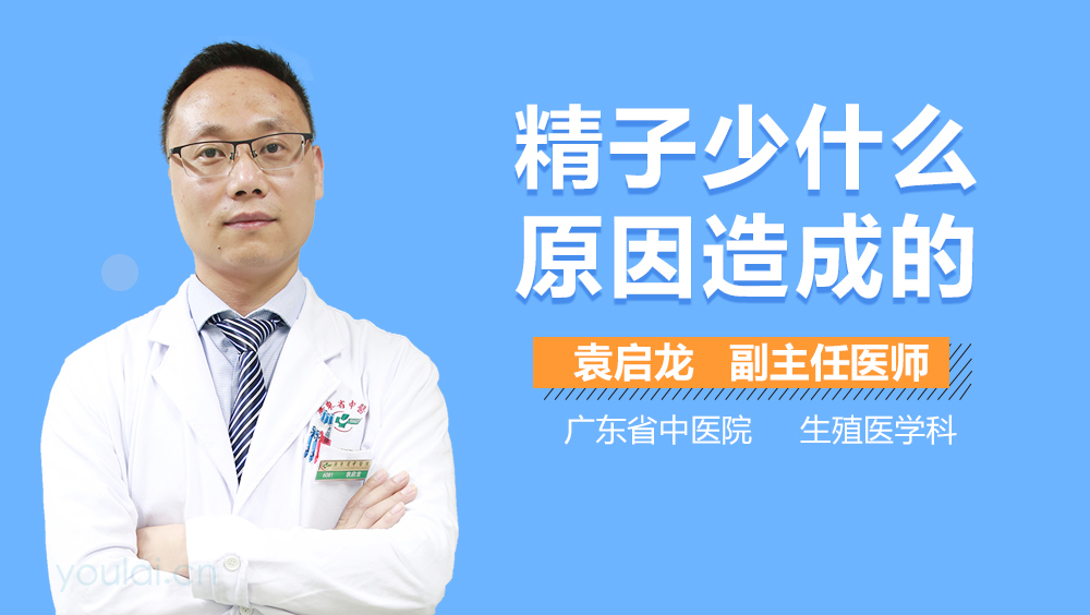 精子少什么原因造成的