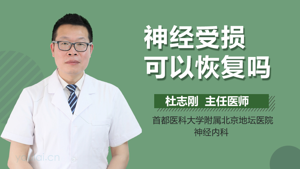 神经受损可以恢复吗