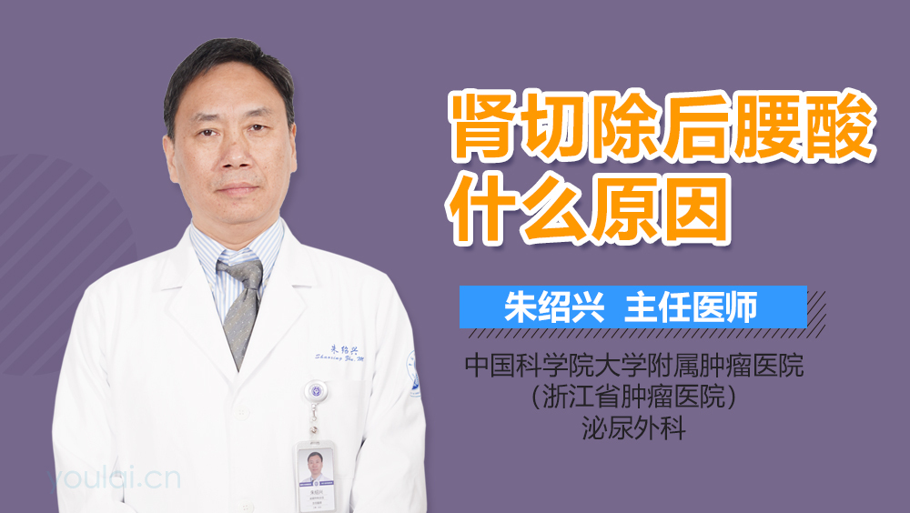 肾切除后腰酸什么原因