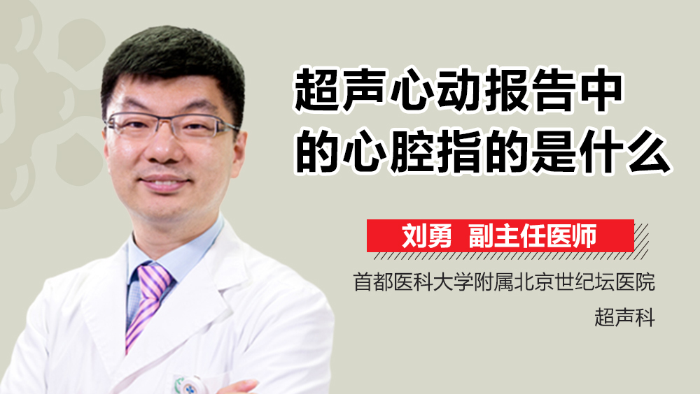 超声心动报告中的心腔指的是什么
