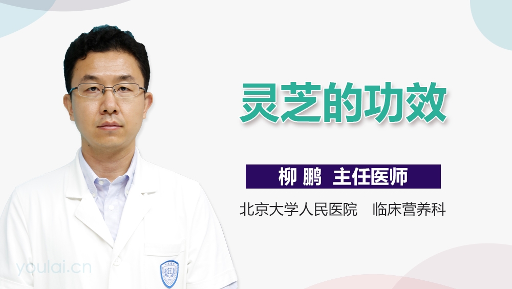 灵芝的功效