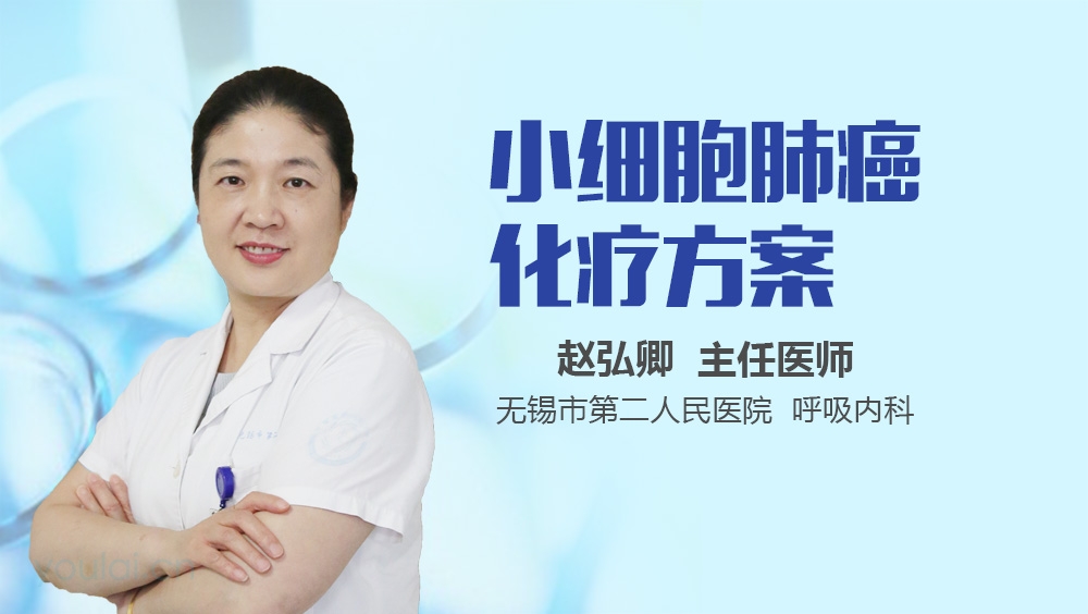 小细胞肺癌化疗方案