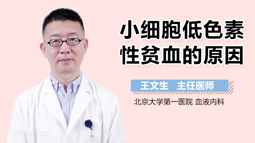 小细胞低色素性贫血的原因