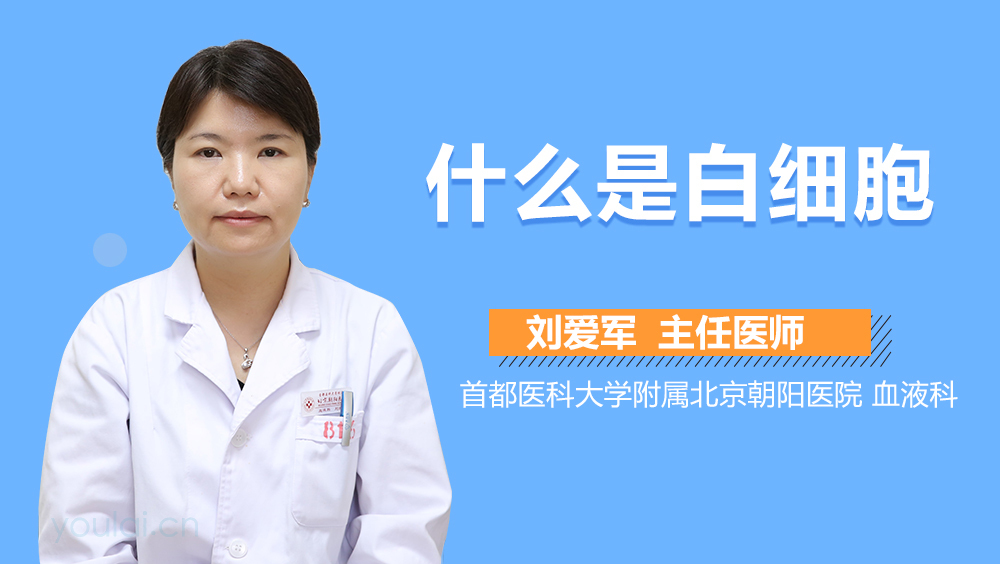 什么是白细胞