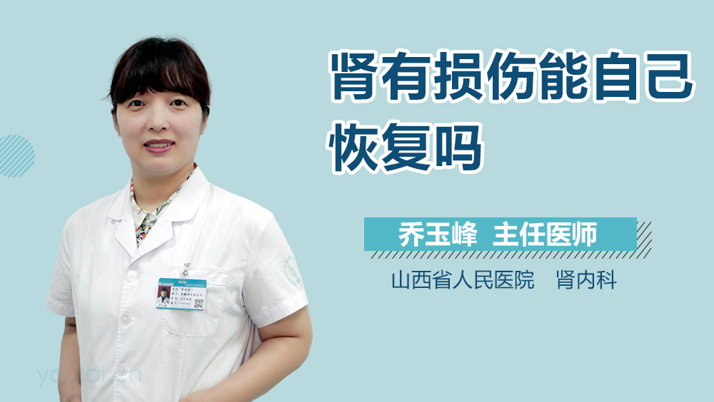 肾有损伤能自己恢复吗