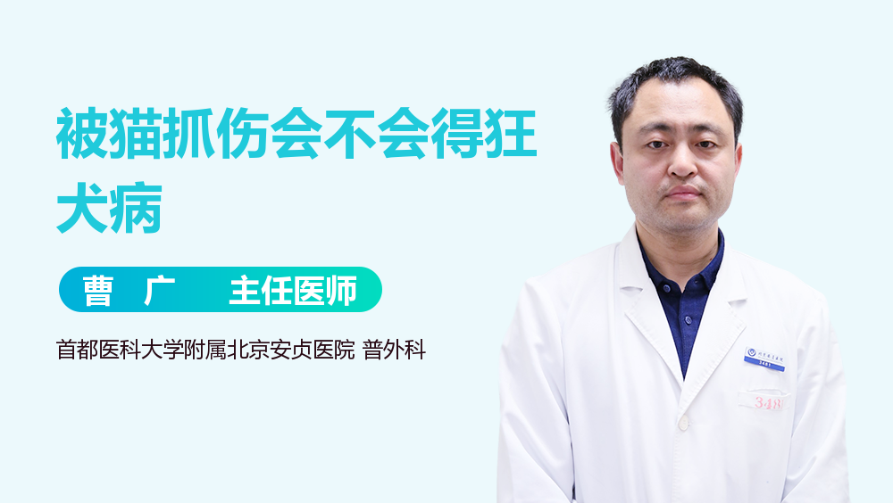 被猫抓伤会不会得狂犬病