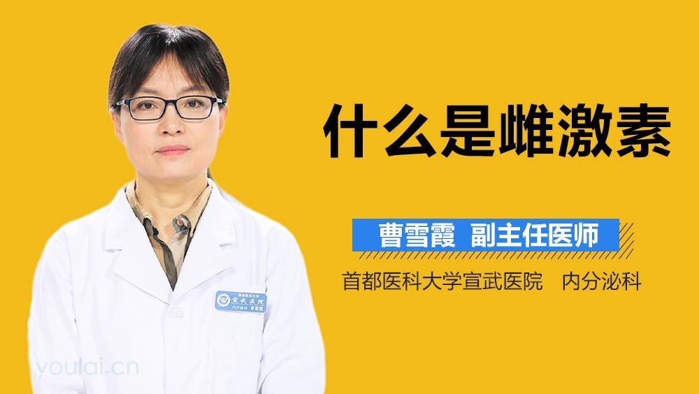 什么是雌激素