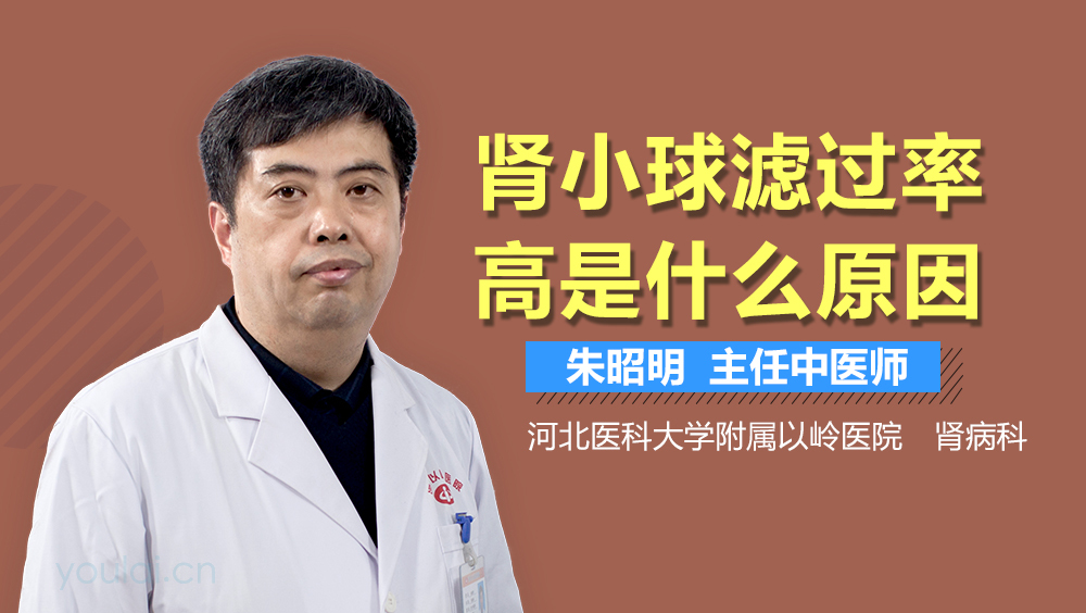 肾小球滤过率高是什么原因