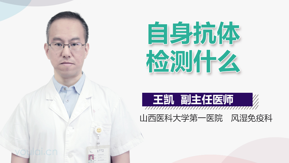 自身抗体检测什么