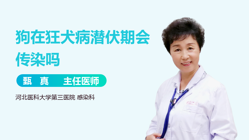 狗在狂犬病潜伏期会传染吗