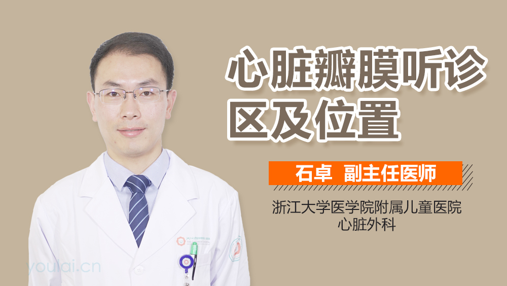 心脏瓣膜听诊区及位置