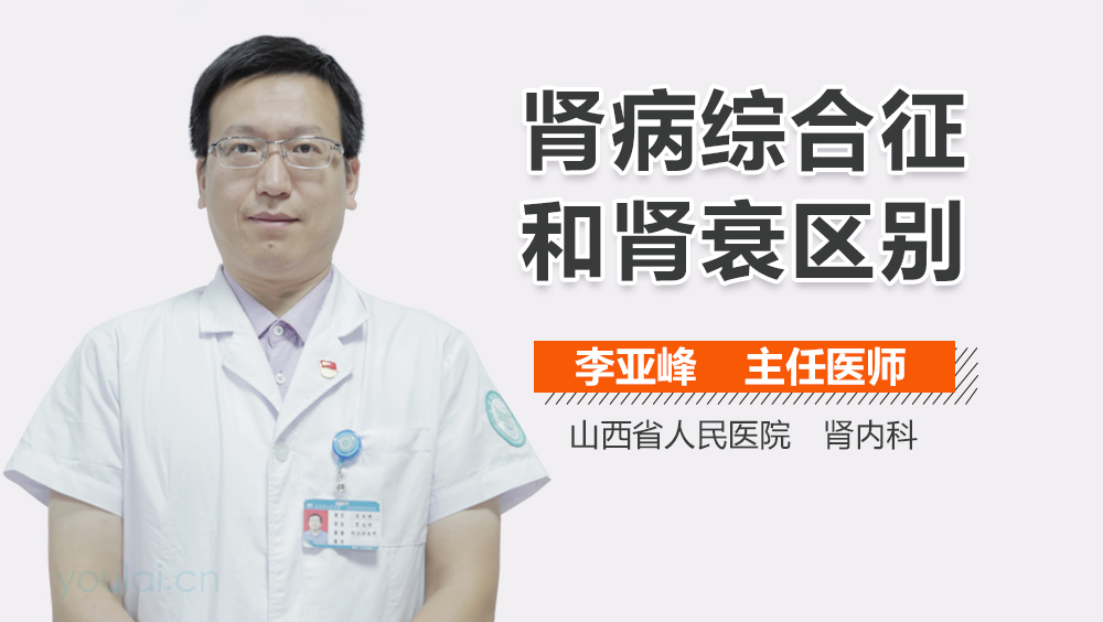 肾病综合征和肾衰区别
