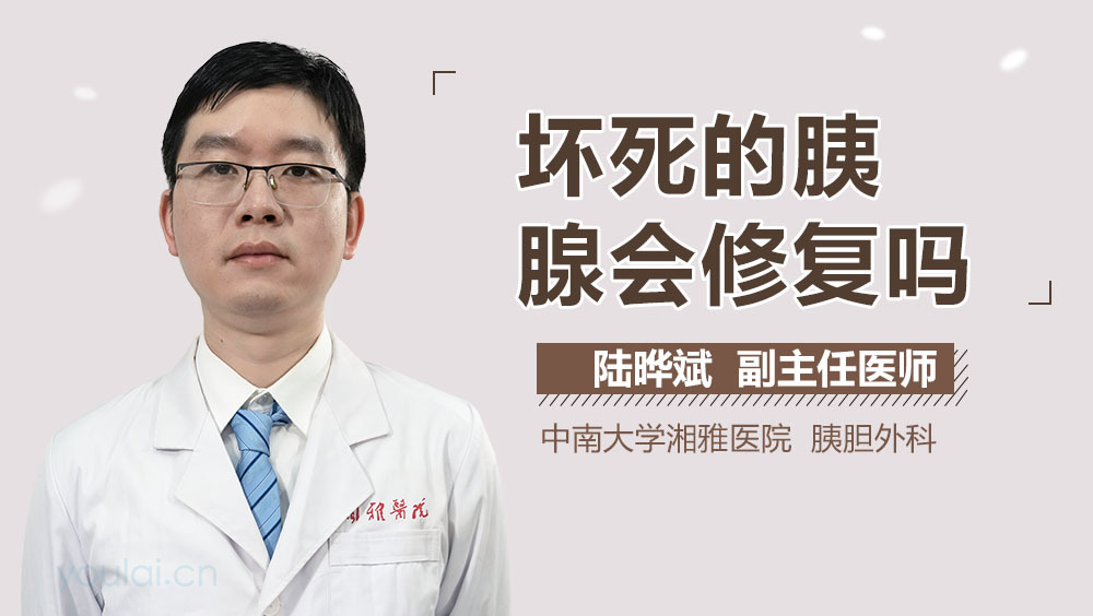 坏死的胰腺会修复吗