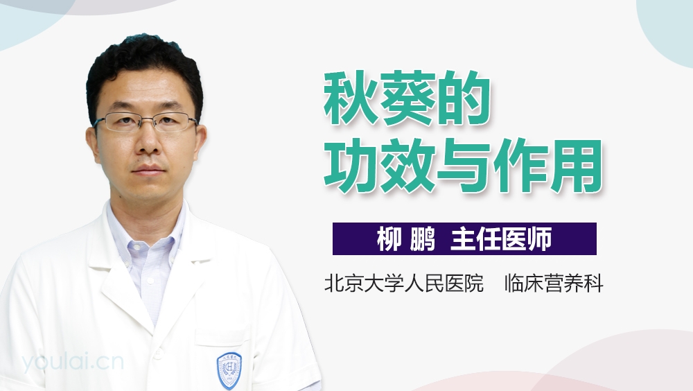 秋葵的功效与作用