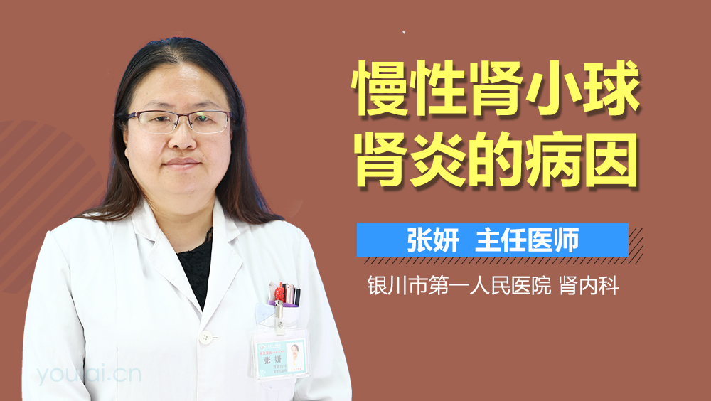 慢性肾小球肾炎的病因