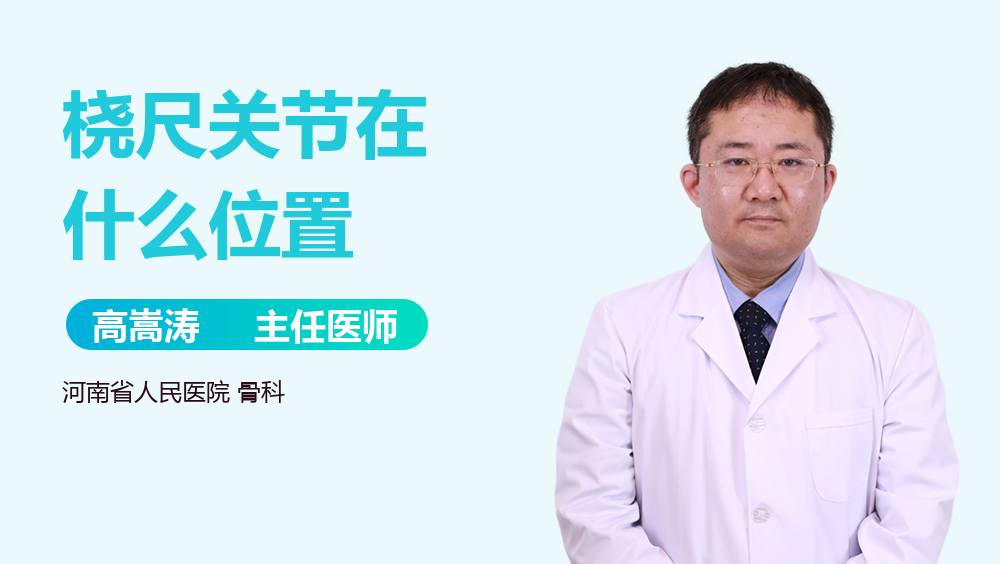 桡尺关节在什么位置
