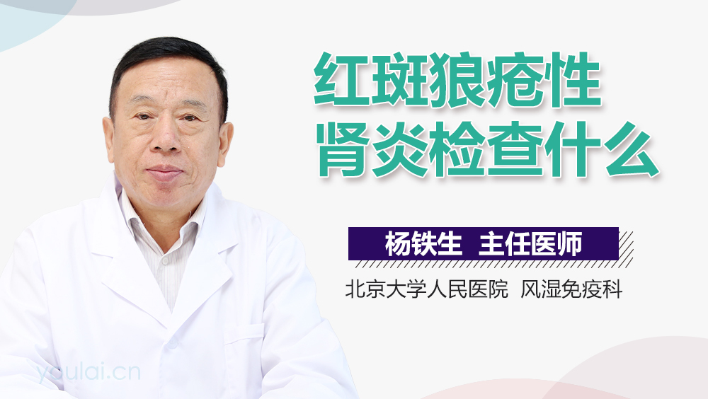 红斑狼疮性肾炎检查什么