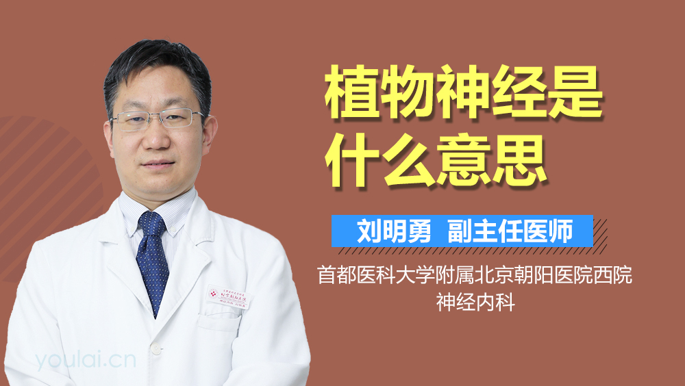 植物神经是什么意思