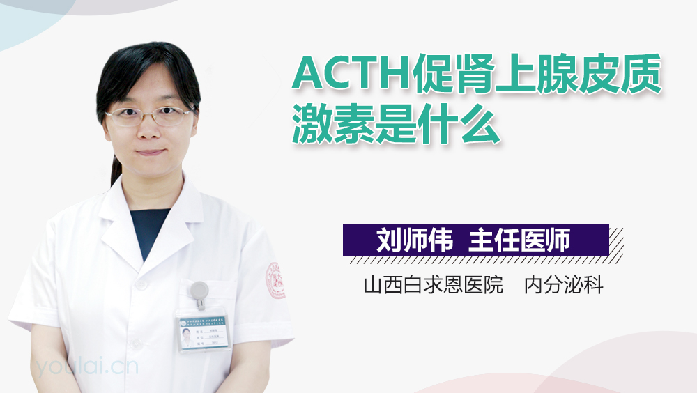 ACTH促肾上腺皮质激素是什么