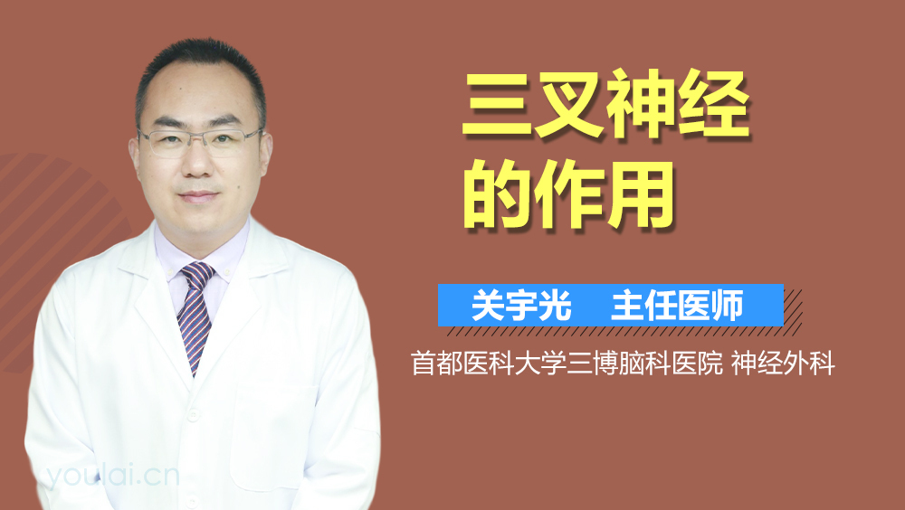 三叉神经的作用
