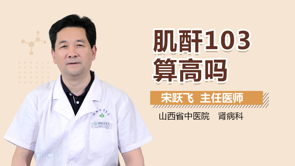 肌酐103算高吗