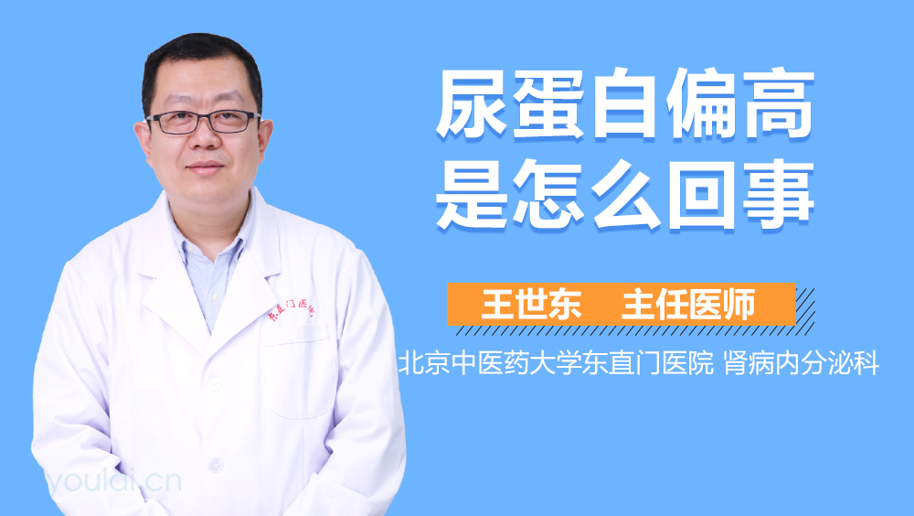 尿蛋白偏高是怎么回事