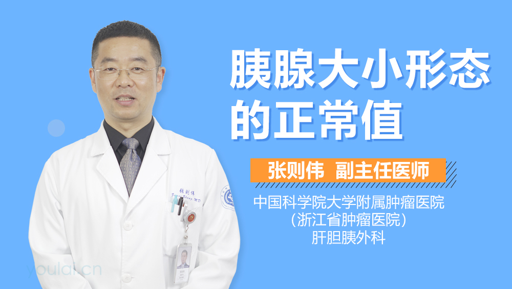 胰腺大小形态的正常值