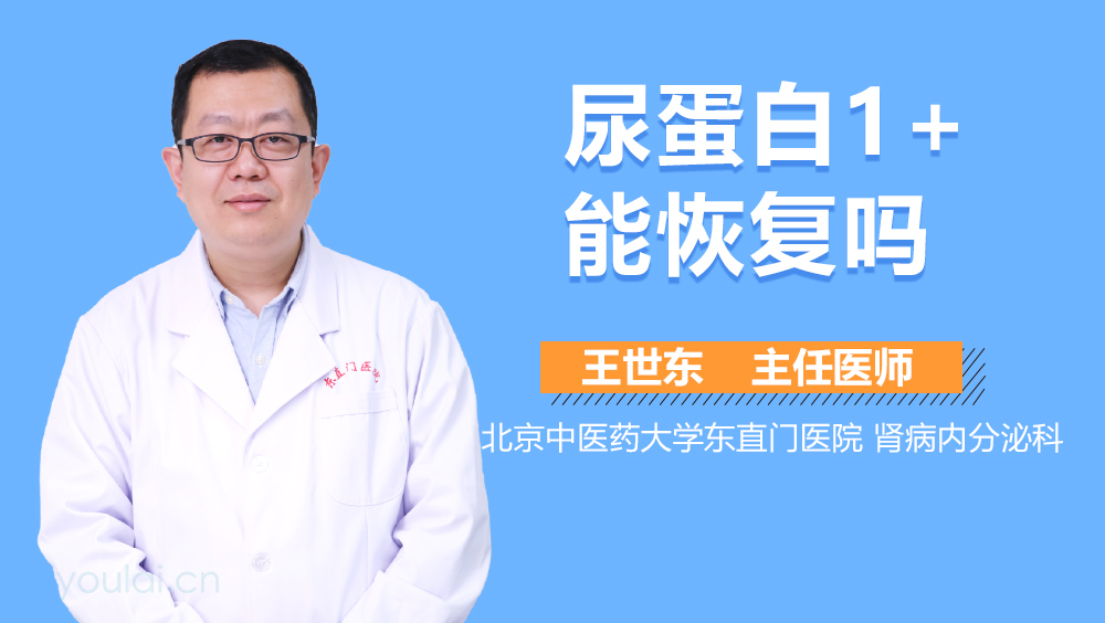 尿蛋白1+能恢复吗