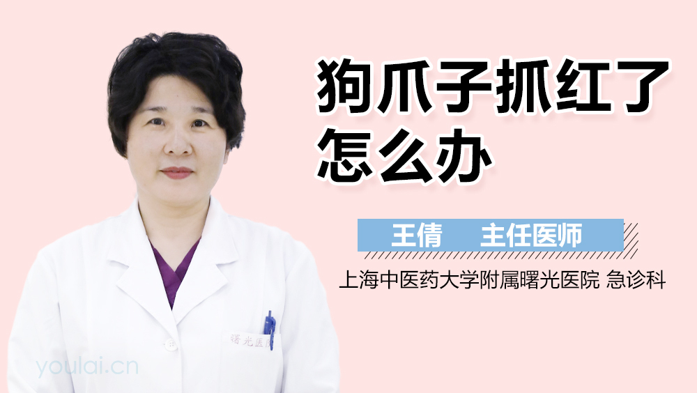 狗爪子抓红了怎么办