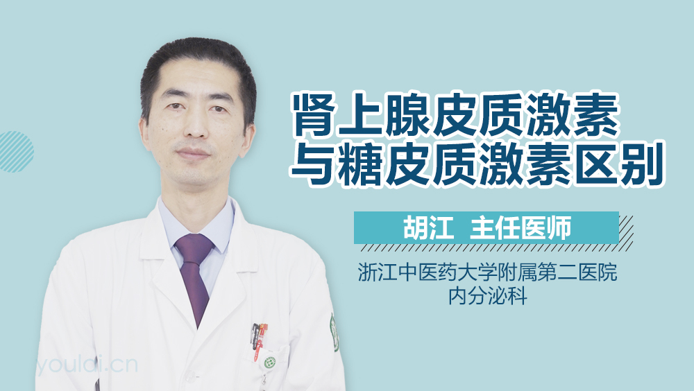 肾上腺皮质激素与糖皮质激素区别
